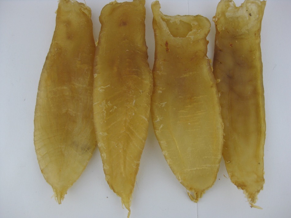上門(mén)回收魚(yú)膠