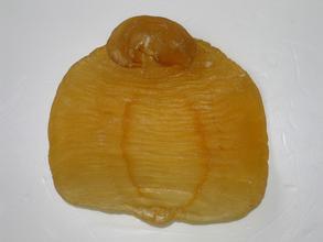廣州回收魚膠